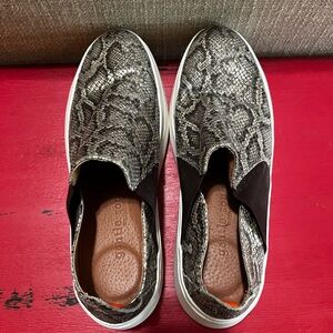 gentle souls Snake Print Slip-On Sneakers in Black and Brown